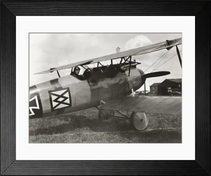 Framed Print : Albatros D. V Framed Print : Albatros D. V