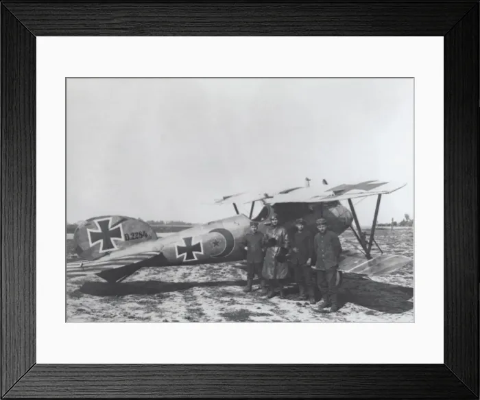 Framed Print : Albatros D. V Framed Print : Albatros D. V