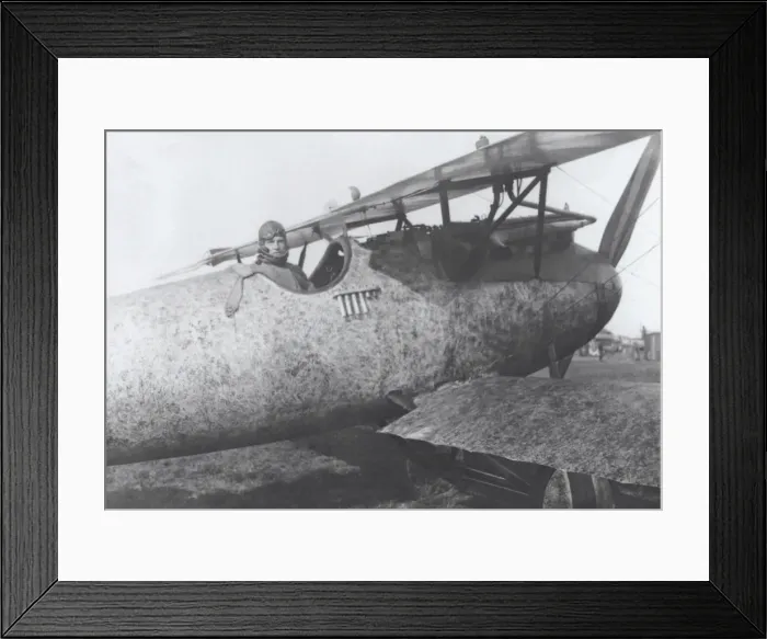 Framed Print : Albatros D. V Framed Print : Albatros D. V