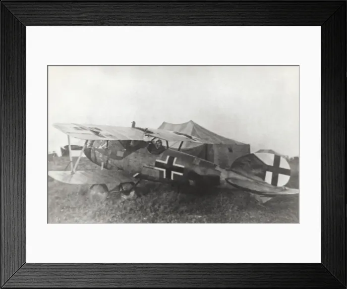 Framed Print : Albatros D. V Framed Print : Albatros D. V