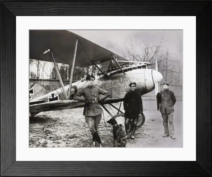 Framed Print : Albatros D. V Framed Print : Albatros D. V