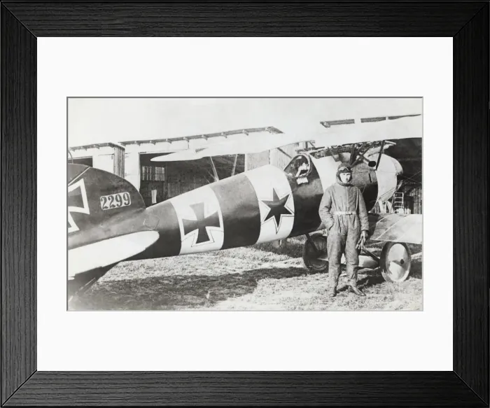 Framed Print : Albatros D. V Framed Print : Albatros D. V
