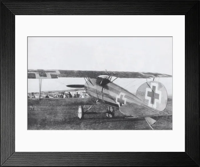 Framed Print : Albatros D. V Framed Print : Albatros D. V