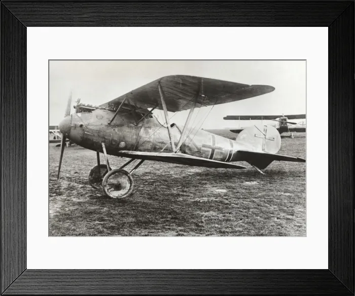 Framed Print : Albatros D. V Framed Print : Albatros D. V