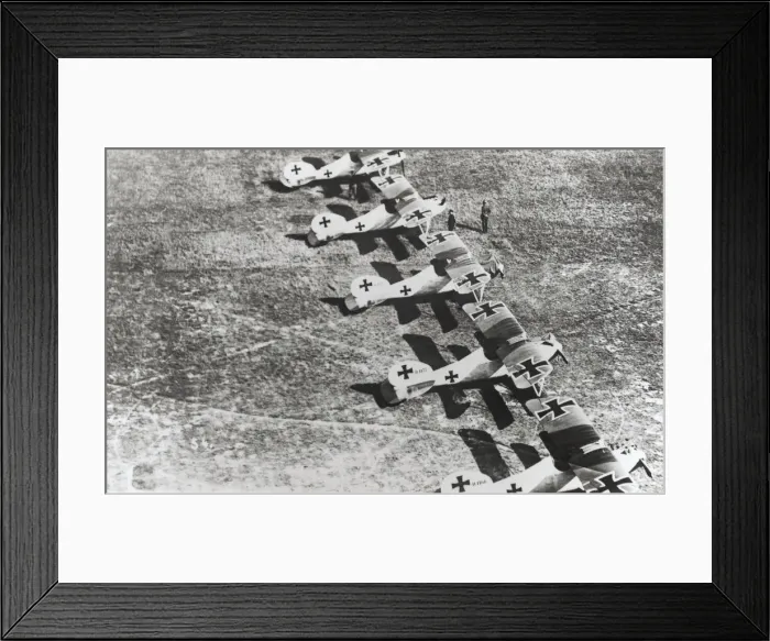 Framed Print : Albatros D. V Framed Print : Albatros D. V