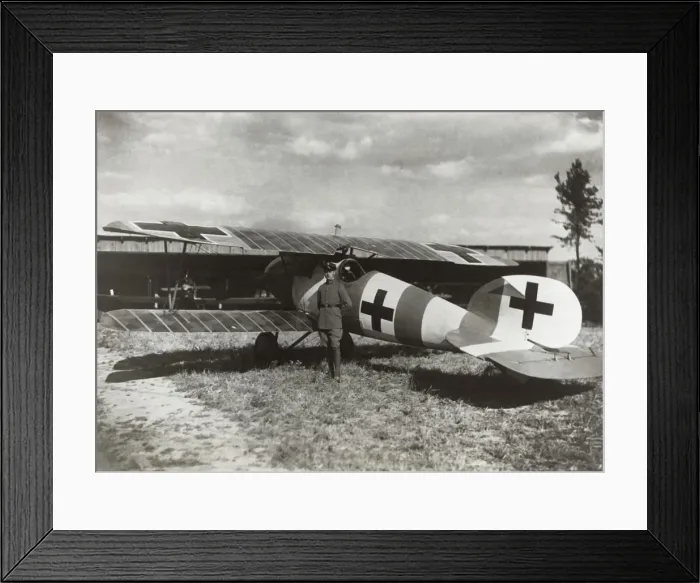 Framed Print : Albatros D. V Framed Print : Albatros D. V