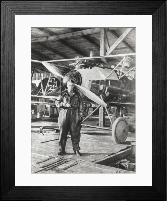 Framed Print : Albatros D. V Framed Print : Albatros D. V