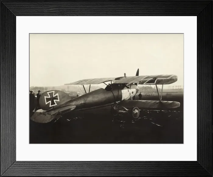 Framed Print : Albatros D. V Framed Print : Albatros D. V