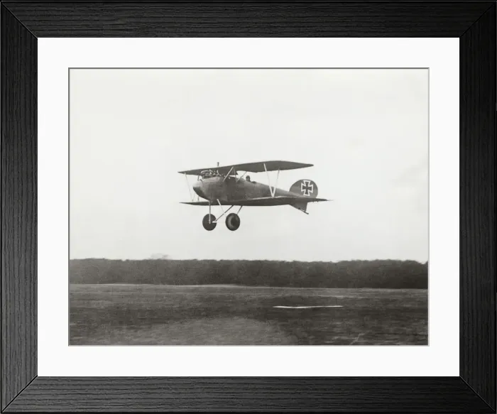 Framed Print : Albatros D. V Framed Print : Albatros D. V