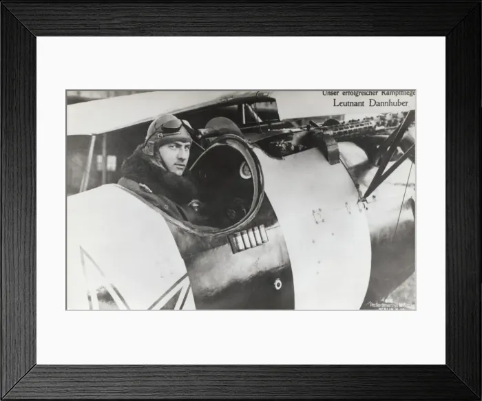 Framed Print : Albatros D. V Framed Print : Albatros D. V