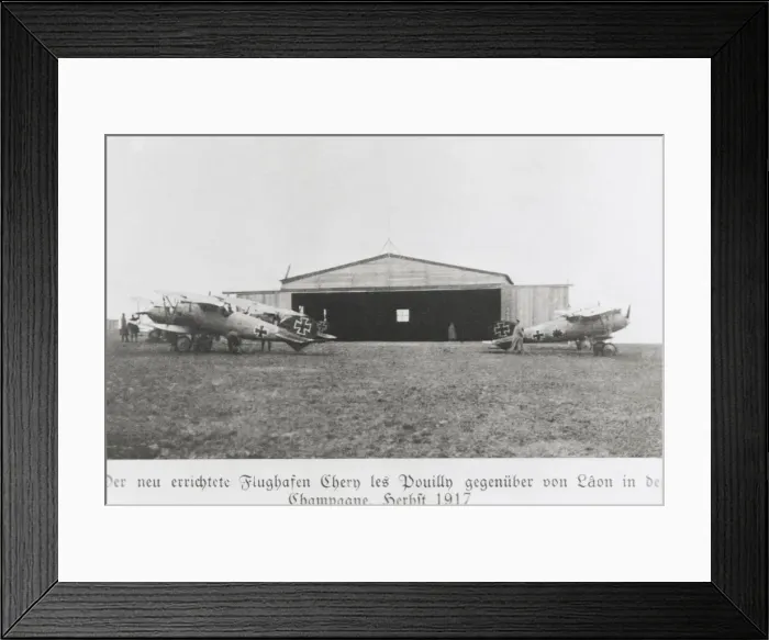 Framed Print : Albatros D. V Framed Print : Albatros D. V