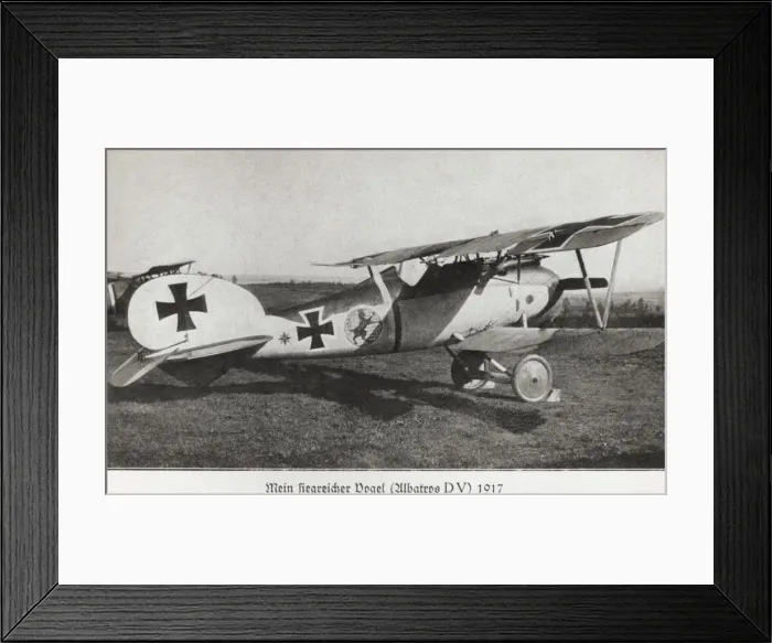 Framed Print : Albatros D. V Framed Print : Albatros D. V