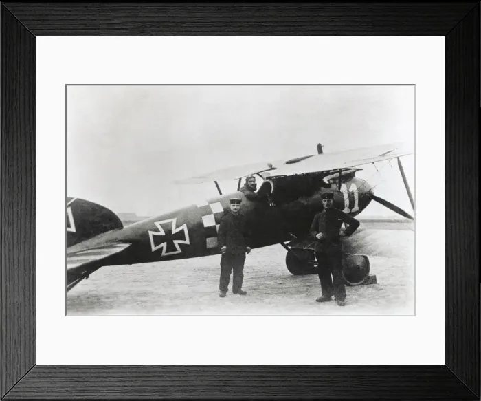 Framed Print : Albatros D. V Framed Print : Albatros D. V