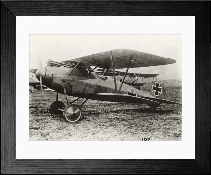 Framed Print : Albatros D. V Framed Print : Albatros D. V