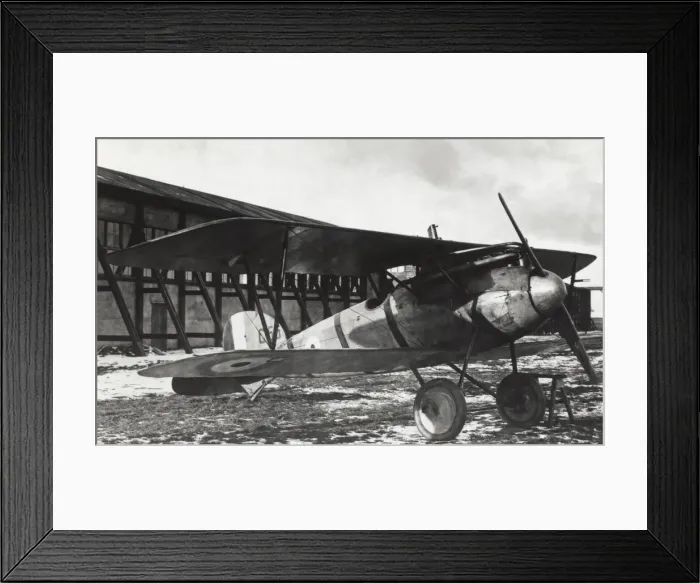 Framed Print : Albatros D. V Framed Print : Albatros D. V