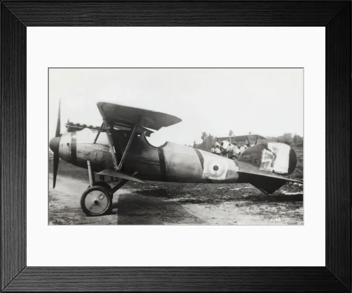 Framed Print : Albatros D. V Framed Print : Albatros D. V