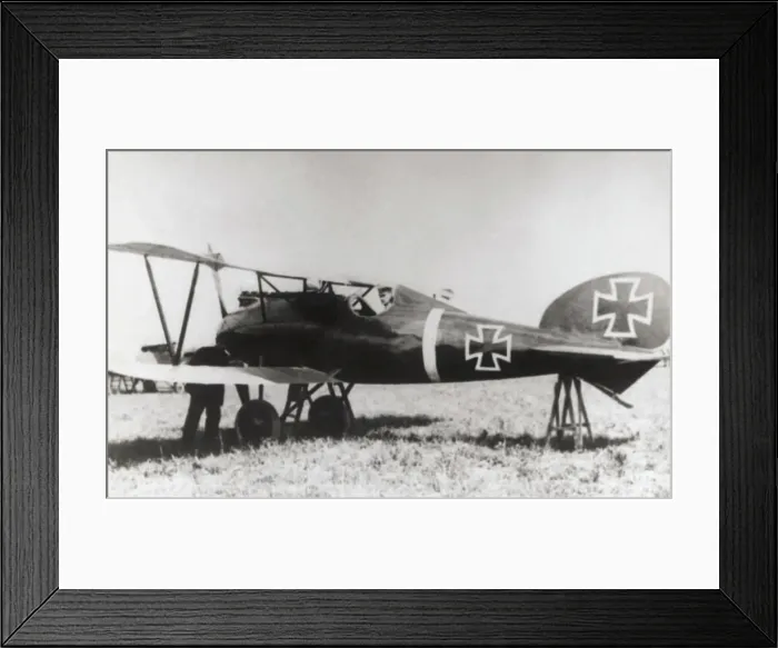 Framed Print : Albatros D. V Framed Print : Albatros D. V