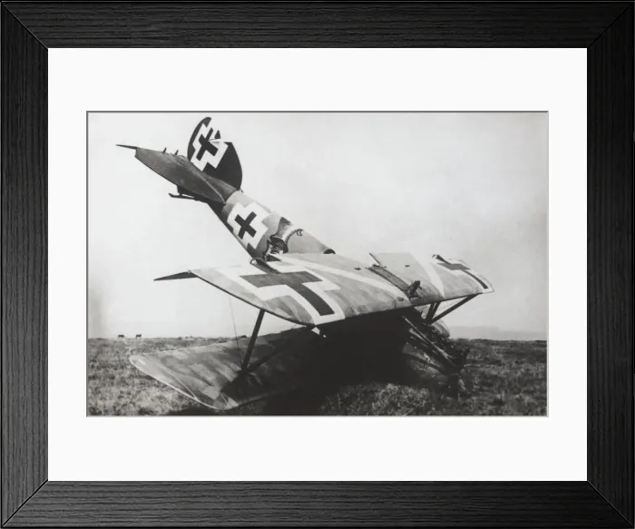 Framed Print : Albatros D. V Framed Print : Albatros D. V