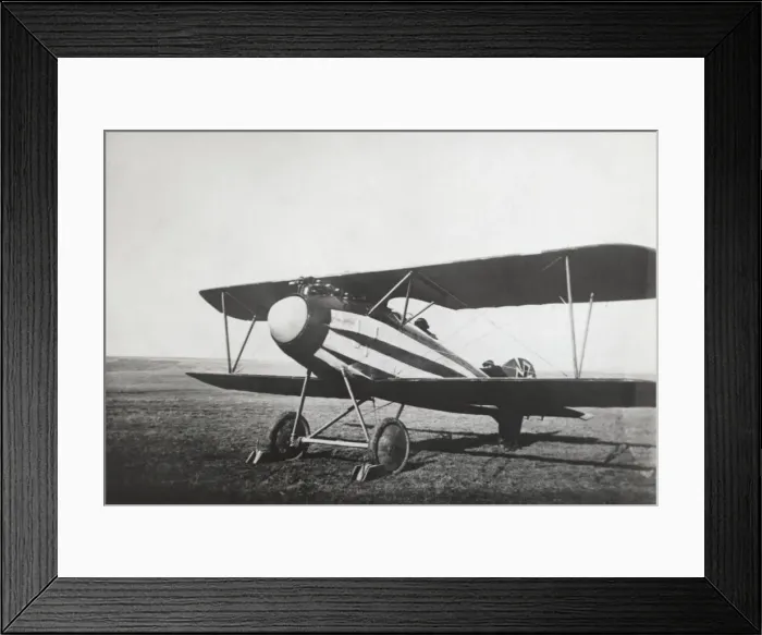 Framed Print : Albatros D. V Framed Print : Albatros D. V