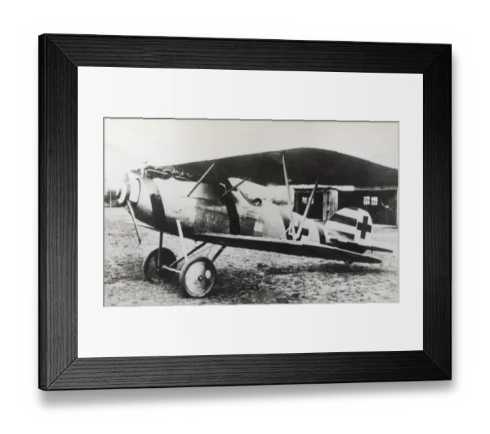 Framed Print : Albatros D. V Framed Print : Albatros D. V