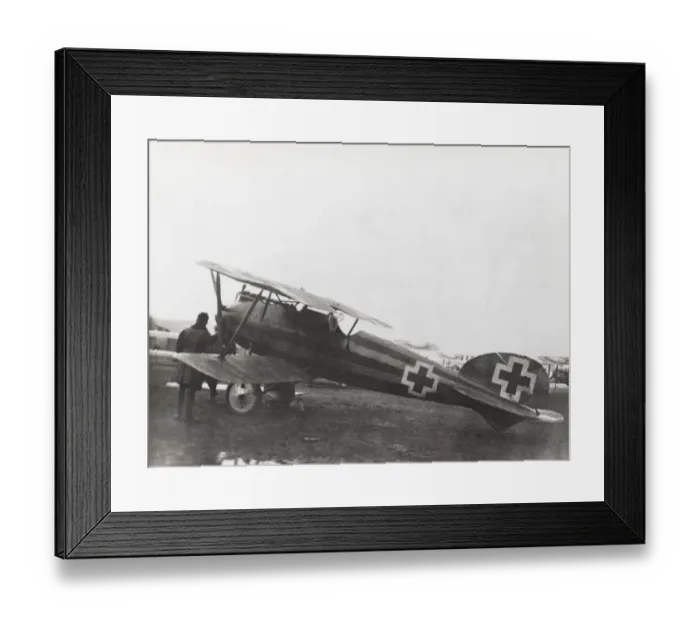 Framed Print : Albatros D. V Framed Print : Albatros D. V