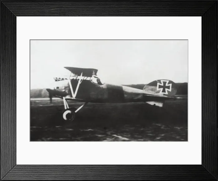 Framed Print : Albatros D. V Framed Print : Albatros D. V
