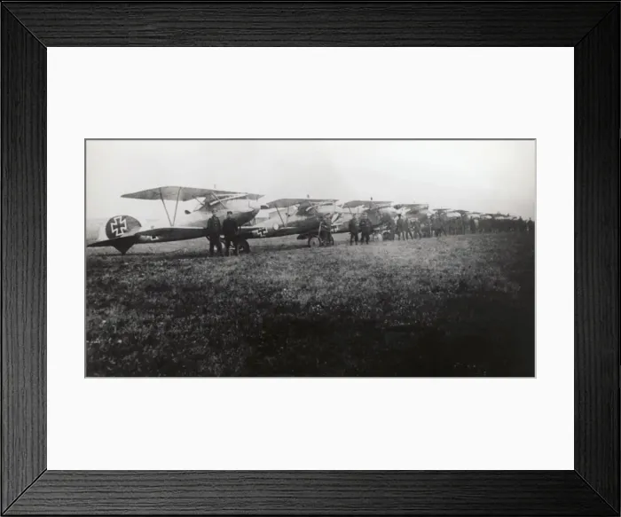 Framed Print : Albatros D. V Framed Print : Albatros D. V