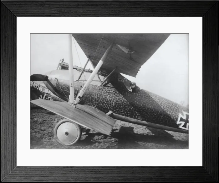 Framed Print : Albatros D. V Framed Print : Albatros D. V