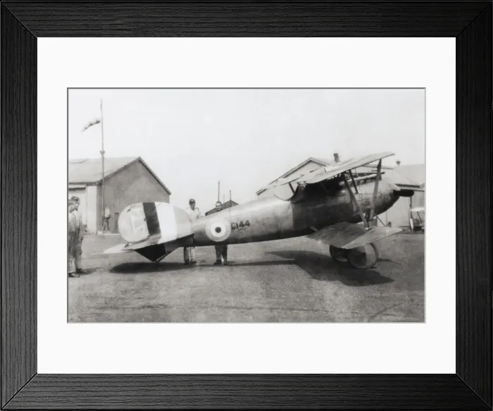 Framed Print : Albatros D. V Framed Print : Albatros D. V