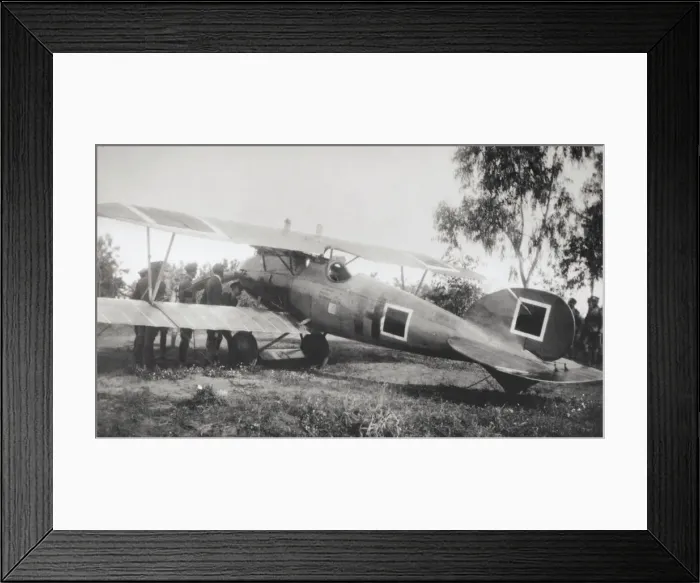 Framed Print : Albatros D. V Framed Print : Albatros D. V