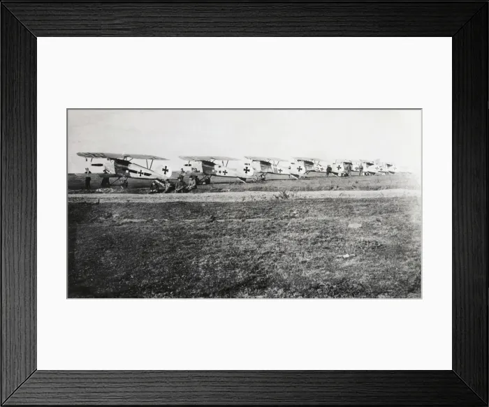 Framed Print : Albatros D. V Framed Print : Albatros D. V