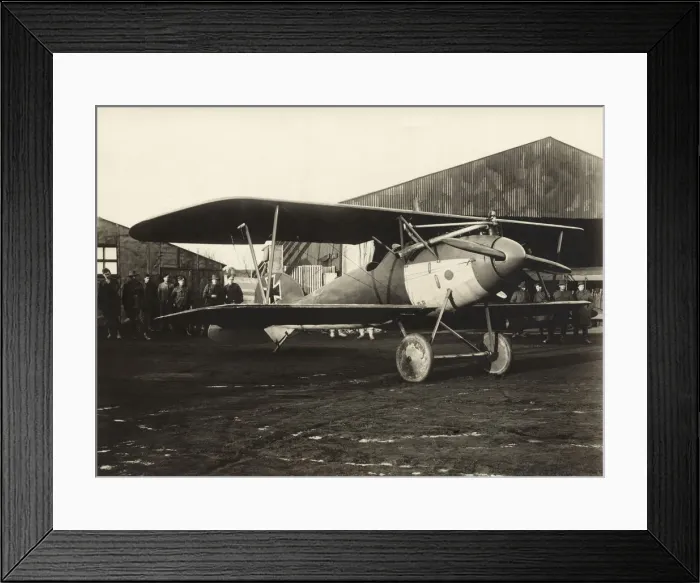 Framed Print : Albatros D. V Framed Print : Albatros D. V