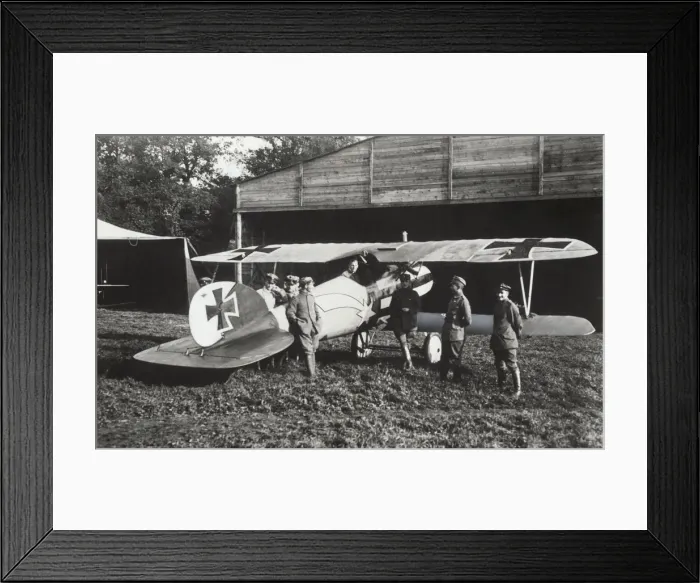 Framed Print : Albatros D. V Framed Print : Albatros D. V