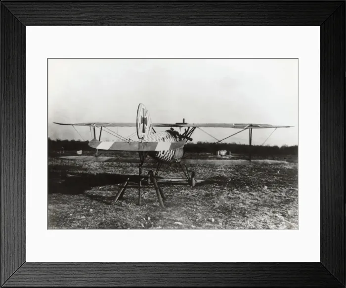Framed Print : Albatros D. V Framed Print : Albatros D. V