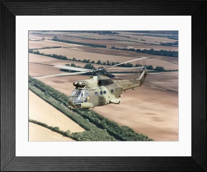 Framed Print : Eurocopter SA-330 Puma Framed Print : Eurocopter SA-330 Puma