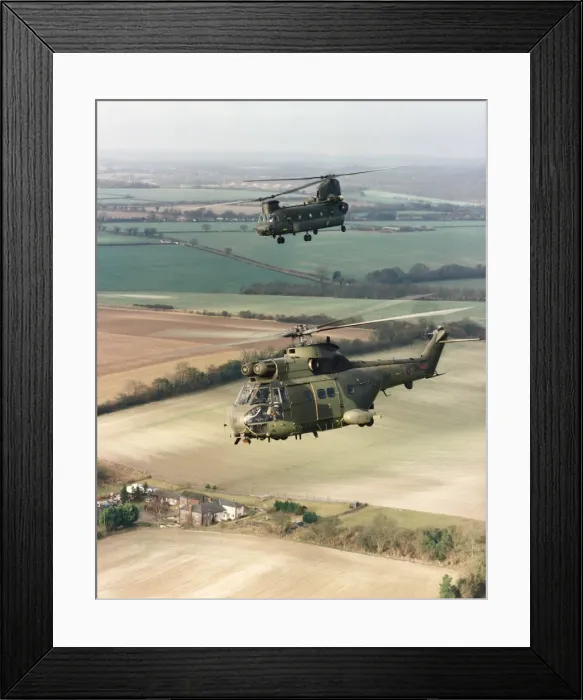Framed Print : Eurocopter SA-330 Puma Framed Print : Eurocopter SA-330 Puma