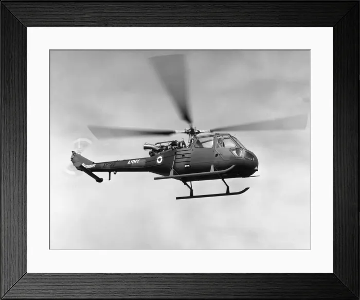 Framed Print : Westland Scout Framed Print : Westland Scout