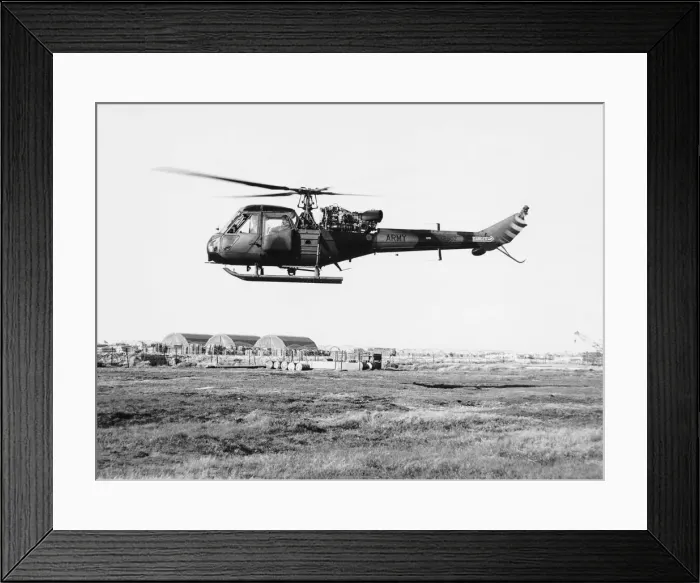 Framed Print : Westland Scout Framed Print : Westland Scout