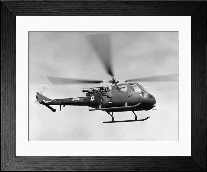 Framed Print : Westland Scout Framed Print : Westland Scout
