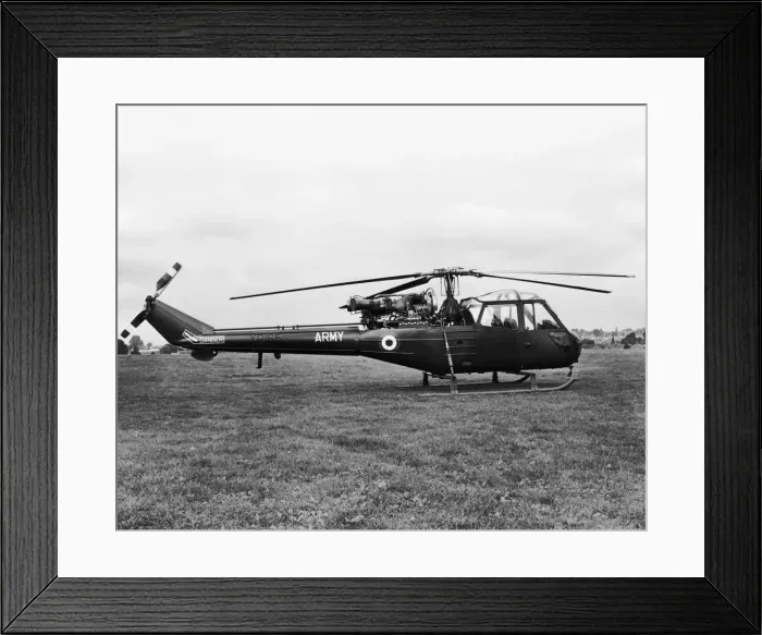 Framed Print : Westland Scout Framed Print : Westland Scout