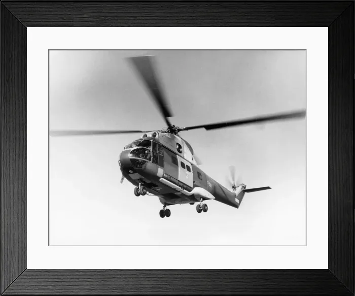 Framed Print : Eurocopter SA-330 Puma Framed Print : Eurocopter SA-330 Puma