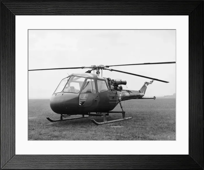 Framed Print : Westland Scout