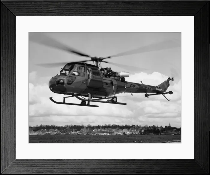Framed Print : Westland Scout Framed Print : Westland Scout
