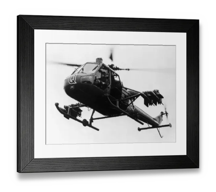 Framed Print : Westland Scout Framed Print : Westland Scout