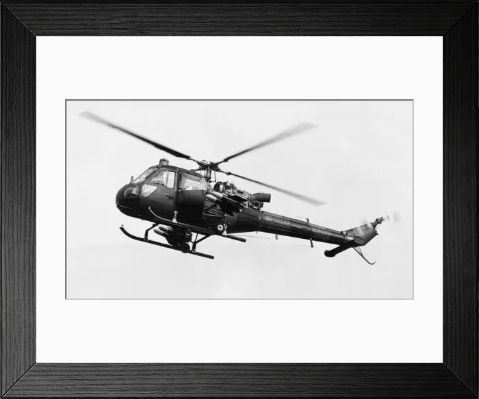 Framed Print : Westland Scout Framed Print : Westland Scout