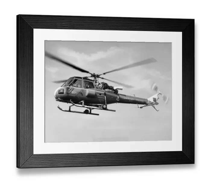 Framed Print : Westland Scout Framed Print : Westland Scout