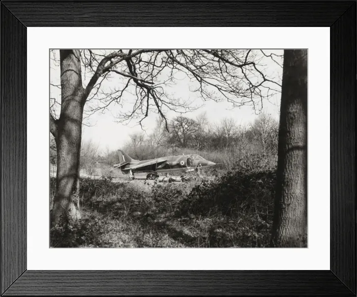 Framed Print : BAE Harrier GR-1 Framed Print : BAE Harrier GR-1
