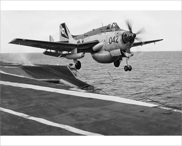 Fairey Gannet AEW-3