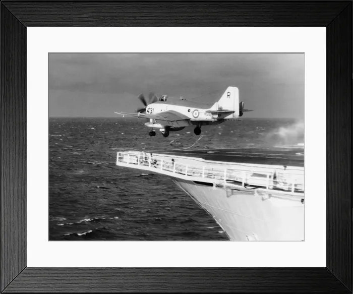 Framed Print : Fairey Gannet Framed Print : Fairey Gannet