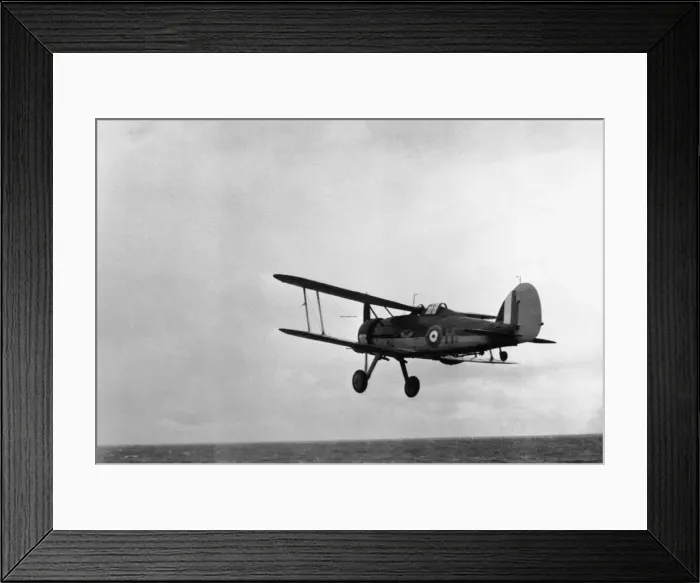 Framed Print : Gloster Sea Gladiator Framed Print : Gloster Sea Gladiator